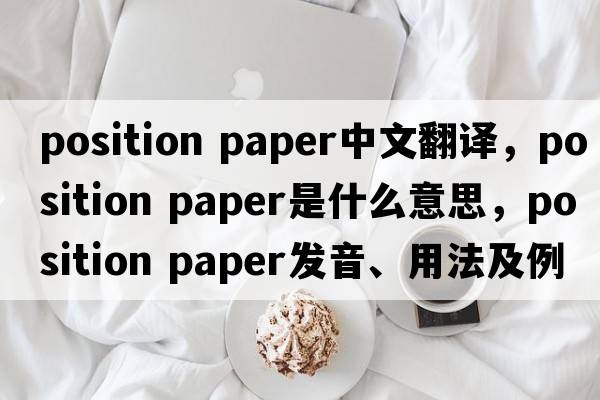 position paper中文翻譯，position paper是什么意思，position paper發(fā)音、用法及例句