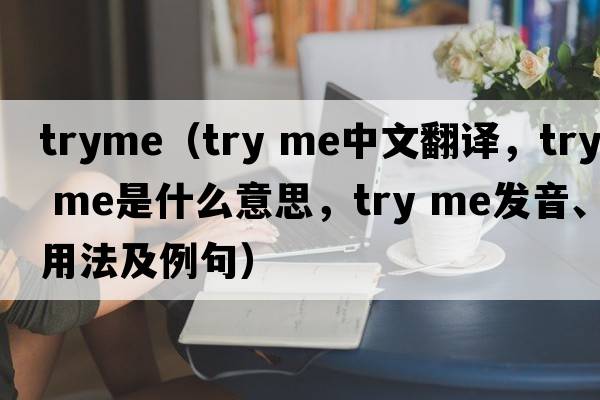 tryme（try me中文翻譯，try me是什么意思，try me發(fā)音、用法及例句）