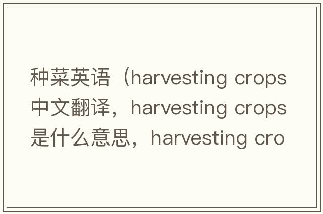 種菜英語(yǔ)（harvesting crops中文翻譯，harvesting crops是什么意思，harvesting crops發(fā)音、用法及例句）