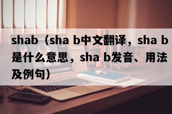 shab（sha b中文翻譯，sha b是什么意思，sha b發(fā)音、用法及例句）