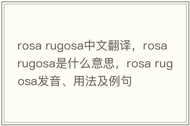 rosa rugosa中文翻譯，rosa rugosa是什么意思，rosa rugosa發(fā)音、用法及例句