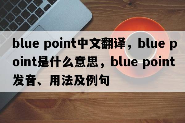 blue point中文翻譯，blue point是什么意思，blue point發(fā)音、用法及例句