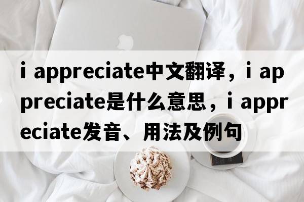 i appreciate中文翻譯，i appreciate是什么意思，i appreciate發(fā)音、用法及例句