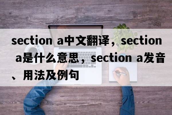 section a中文翻譯，section a是什么意思，section a發(fā)音、用法及例句