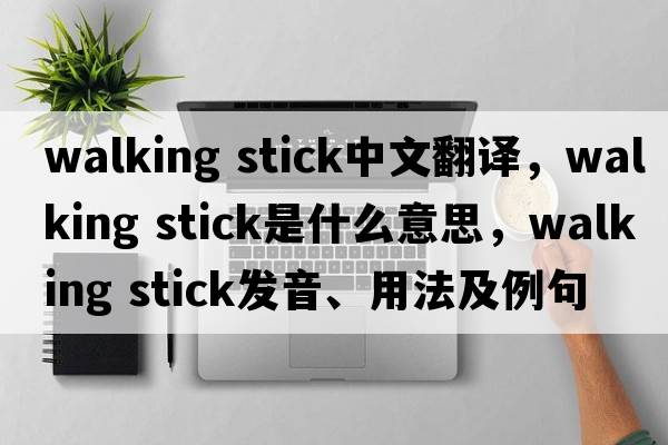 walking stick中文翻譯，walking stick是什么意思，walking stick發(fā)音、用法及例句