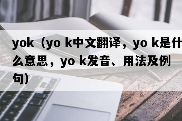 yok（yo k中文翻譯，yo k是什么意思，yo k發(fā)音、用法及例句）