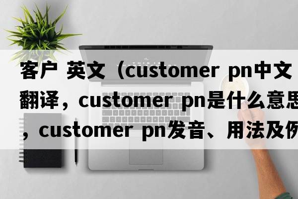 客戶(hù) 英文（customer pn中文翻譯，customer pn是什么意思，customer pn發(fā)音、用法及例句）
