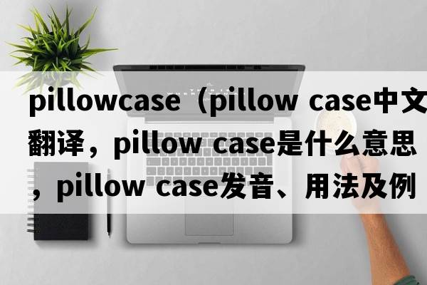 pillowcase（pillow case中文翻譯，pillow case是什么意思，pillow case發(fā)音、用法及例句）