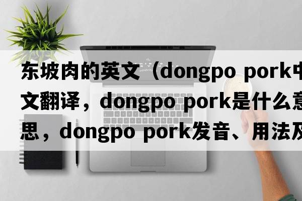 東坡肉的英文（dongpo pork中文翻譯，dongpo pork是什么意思，dongpo pork發(fā)音、用法及例句）