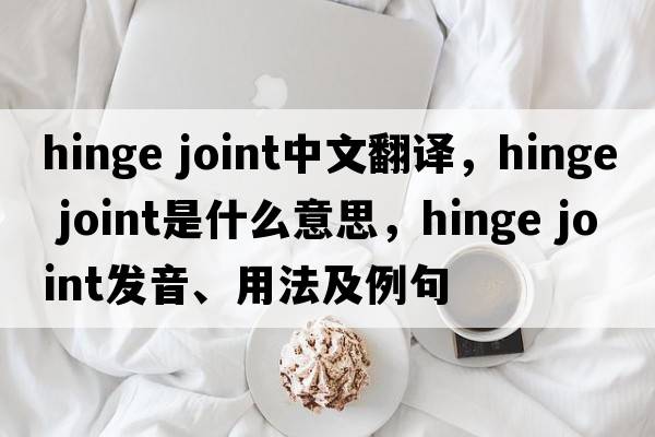 hinge joint中文翻譯，hinge joint是什么意思，hinge joint發(fā)音、用法及例句