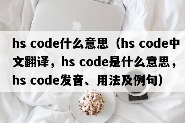 hs code什么意思（hs code中文翻譯，hs code是什么意思，hs code發(fā)音、用法及例句）