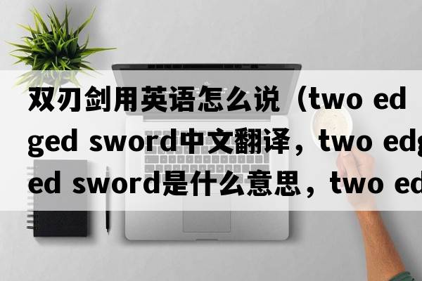 雙刃劍用英語(yǔ)怎么說(shuō)（two edged sword中文翻譯，two edged sword是什么意思，two edged sword發(fā)音、用法及例句）