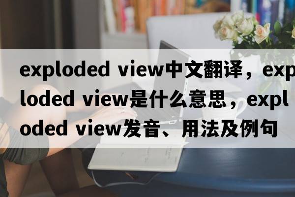 exploded view中文翻譯，exploded view是什么意思，exploded view發(fā)音、用法及例句