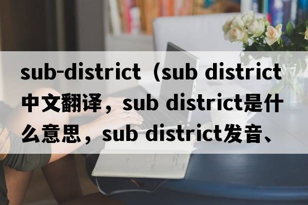 sub-district（sub district中文翻譯，sub district是什么意思，sub district發(fā)音、用法及例句）