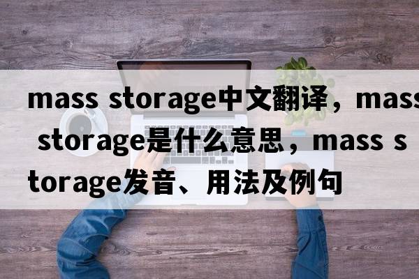 mass storage中文翻譯，mass storage是什么意思，mass storage發(fā)音、用法及例句