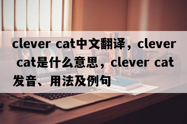 clever cat中文翻譯，clever cat是什么意思，clever cat發(fā)音、用法及例句