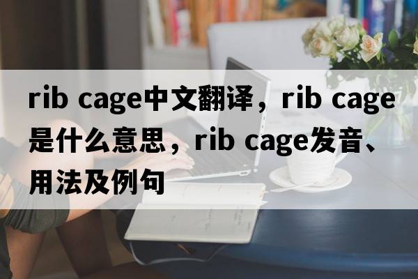 rib cage中文翻譯，rib cage是什么意思，rib cage發(fā)音、用法及例句