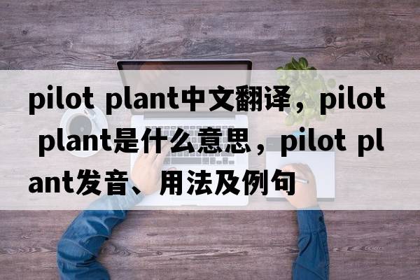 pilot plant中文翻譯，pilot plant是什么意思，pilot plant發(fā)音、用法及例句