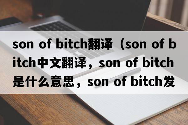son of bitch翻譯（son of bitch中文翻譯，son of bitch是什么意思，son of bitch發(fā)音、用法及例句）