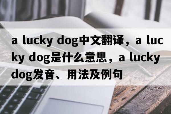 a lucky dog中文翻譯，a lucky dog是什么意思，a lucky dog發(fā)音、用法及例句
