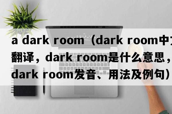 a dark room（dark room中文翻譯，dark room是什么意思，dark room發(fā)音、用法及例句）