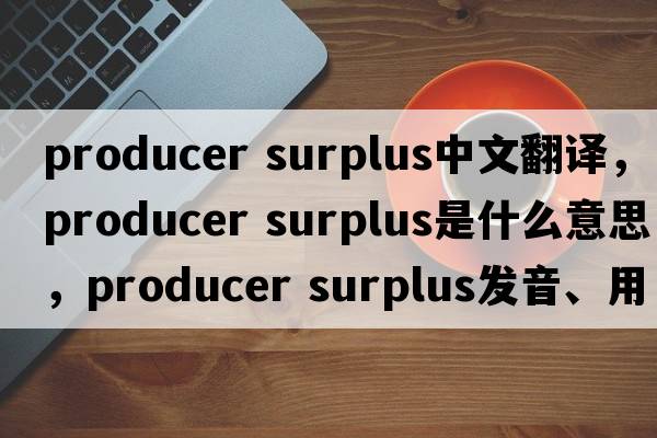 producer surplus中文翻譯，producer surplus是什么意思，producer surplus發(fā)音、用法及例句