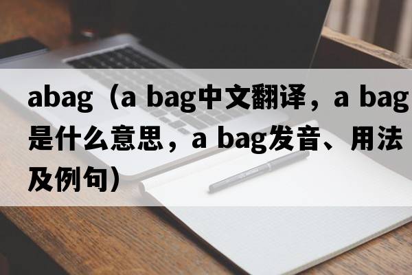 abag（a bag中文翻譯，a bag是什么意思，a bag發(fā)音、用法及例句）