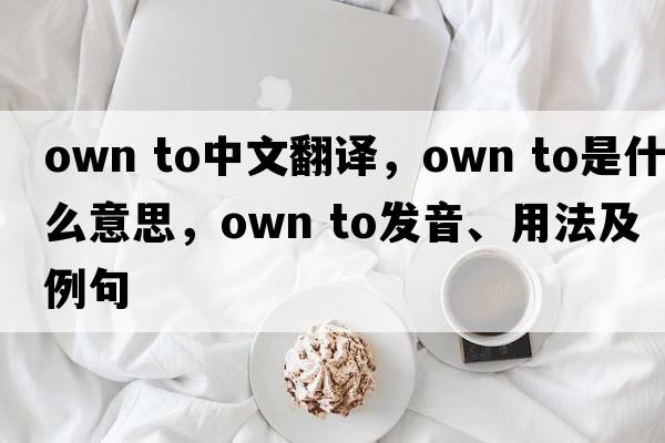 own to中文翻譯，own to是什么意思，own to發(fā)音、用法及例句