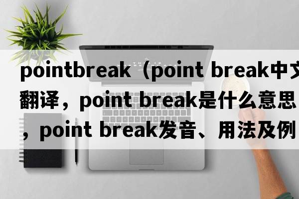 pointbreak（point break中文翻譯，point break是什么意思，point break發(fā)音、用法及例句）