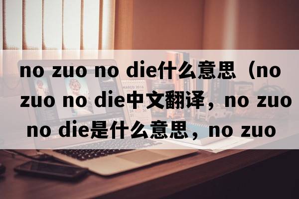 no zuo no die什么意思（no zuo no die中文翻譯，no zuo no die是什么意思，no zuo no die發(fā)音、用法及例句）