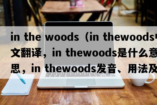 in the woods（in thewoods中文翻譯，in thewoods是什么意思，in thewoods發(fā)音、用法及例句）