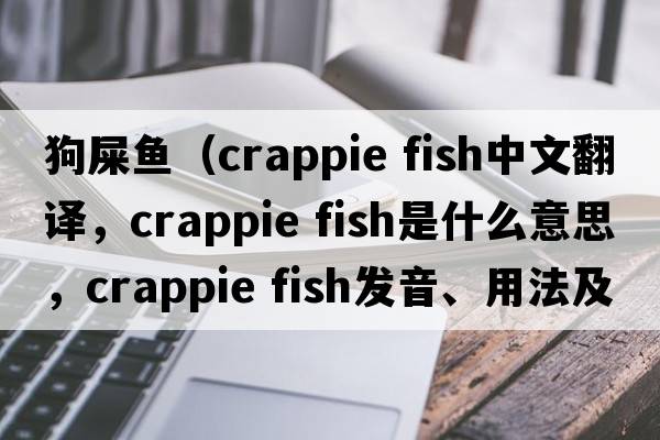 狗屎魚(yú)（crappie fish中文翻譯，crappie fish是什么意思，crappie fish發(fā)音、用法及例句）