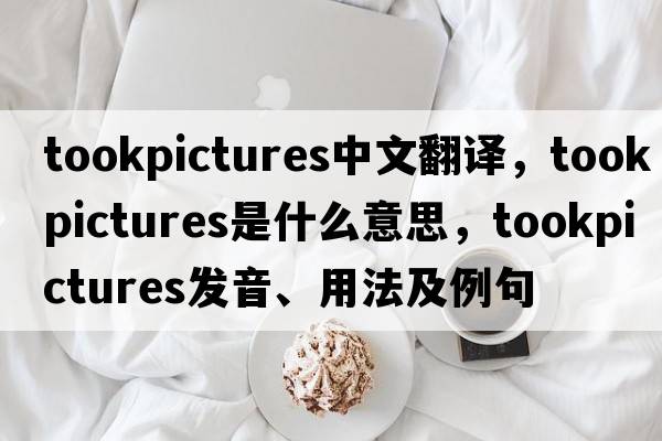 tookpictures中文翻譯，tookpictures是什么意思，tookpictures發(fā)音、用法及例句