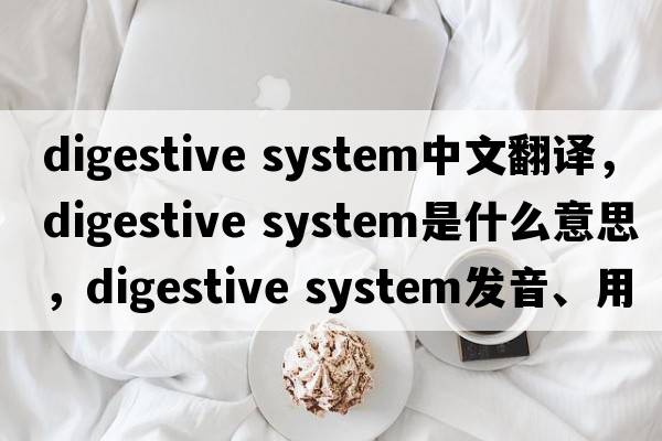 digestive system中文翻譯，digestive system是什么意思，digestive system發(fā)音、用法及例句