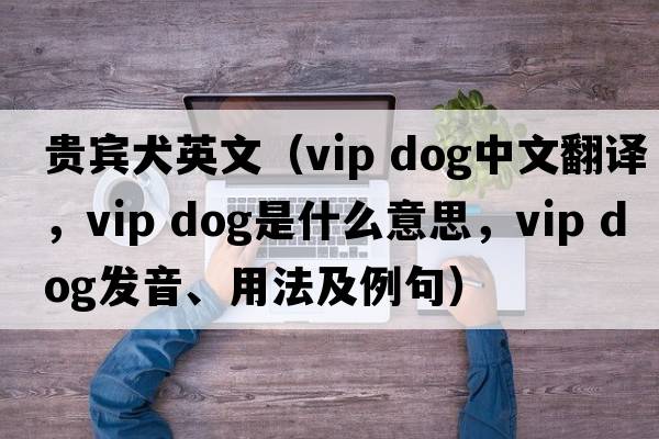 貴賓犬英文（vip dog中文翻譯，vip dog是什么意思，vip dog發(fā)音、用法及例句）