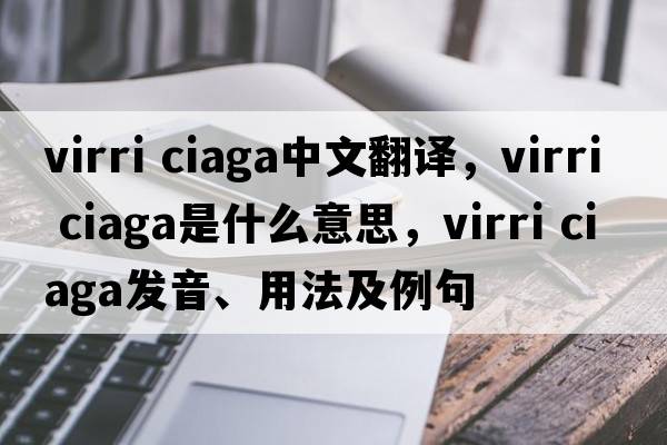 virri ciaga中文翻譯，virri ciaga是什么意思，virri ciaga發(fā)音、用法及例句