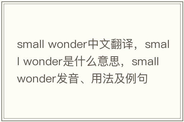 small wonder中文翻譯，small wonder是什么意思，small wonder發(fā)音、用法及例句