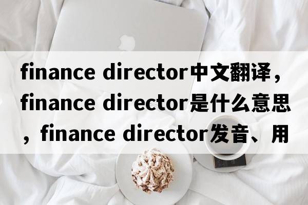 finance director中文翻譯，finance director是什么意思，finance director發(fā)音、用法及例句