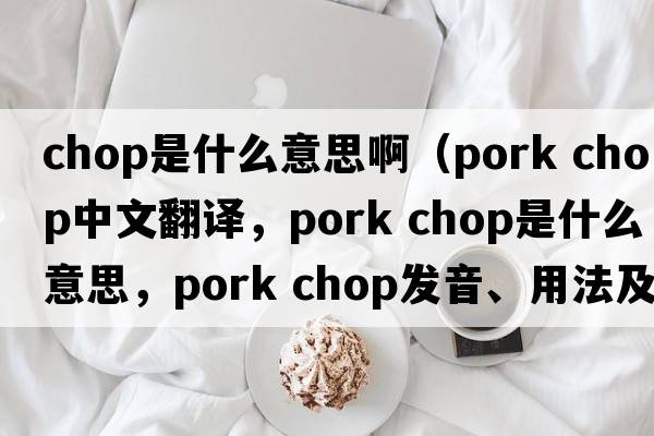 chop是什么意思?。╬ork chop中文翻譯，pork chop是什么意思，pork chop發(fā)音、用法及例句）