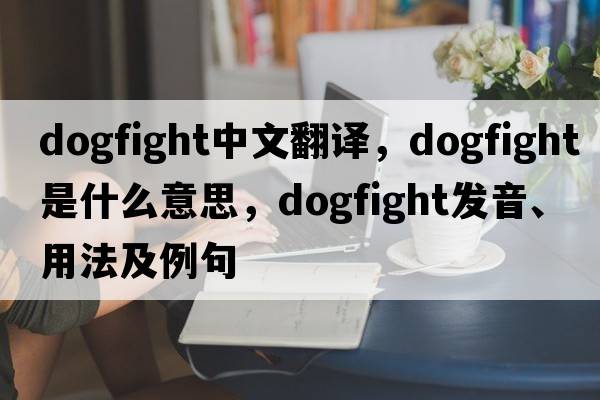 dogfight中文翻譯，dogfight是什么意思，dogfight發(fā)音、用法及例句