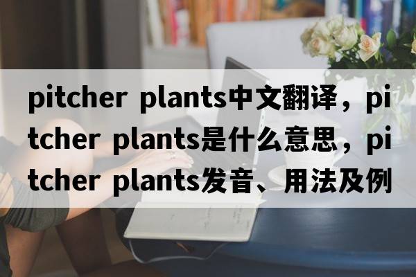 pitcher plants中文翻譯，pitcher plants是什么意思，pitcher plants發(fā)音、用法及例句