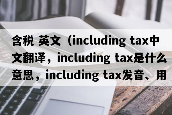 含稅 英文（including tax中文翻譯，including tax是什么意思，including tax發(fā)音、用法及例句）