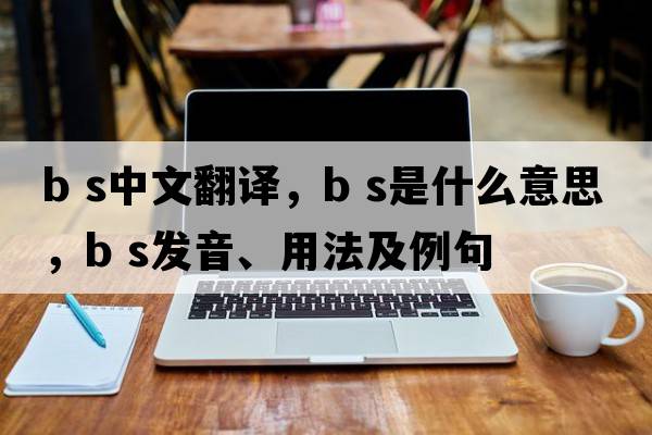 B S中文翻譯，B S是什么意思，B S發(fā)音、用法及例句