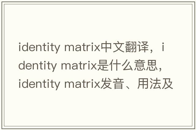 identity matrix中文翻譯，identity matrix是什么意思，identity matrix發(fā)音、用法及例句