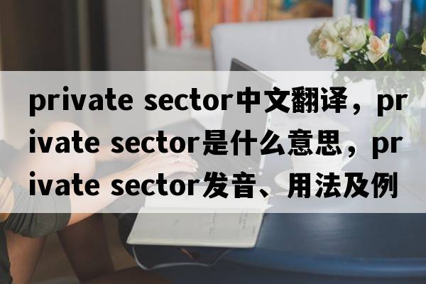 private sector中文翻譯，private sector是什么意思，private sector發(fā)音、用法及例句
