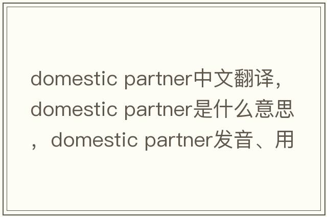 domestic partner中文翻譯，domestic partner是什么意思，domestic partner發(fā)音、用法及例句