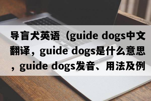 導盲犬英語(yǔ)（guide dogs中文翻譯，guide dogs是什么意思，guide dogs發(fā)音、用法及例句）