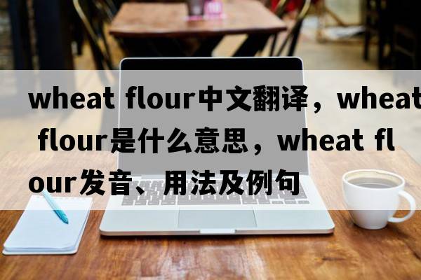 wheat flour中文翻譯，wheat flour是什么意思，wheat flour發(fā)音、用法及例句