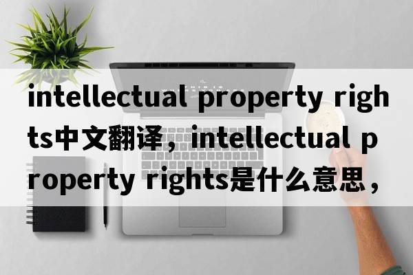 intellectual property rights中文翻譯，intellectual property rights是什么意思，intellectual property rights發(fā)音、用法