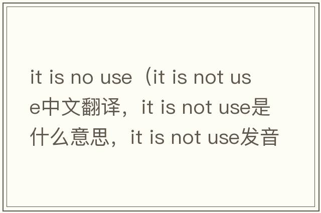 it is no use（it is not use中文翻譯，it is not use是什么意思，it is not use發(fā)音、用法及例句）